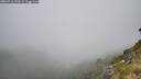 ./images/calvert/foggy-cove/20260716/foggy-cove20260716_123501M.jpg
