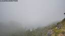 ./images/calvert/foggy-cove/20260716/foggy-cove20260716_124501M.jpg