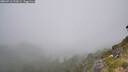 ./images/calvert/foggy-cove/20260716/foggy-cove20260716_125002M.jpg