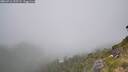 ./images/calvert/foggy-cove/20260716/foggy-cove20260716_125501M.jpg
