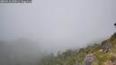 ./images/calvert/foggy-cove/20260716/foggy-cove20260716_130001M.jpg