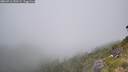 ./images/calvert/foggy-cove/20260716/foggy-cove20260716_130501M.jpg