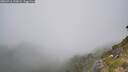 ./images/calvert/foggy-cove/20260716/foggy-cove20260716_132001M.jpg
