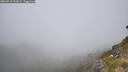 ./images/calvert/foggy-cove/20260716/foggy-cove20260716_133001M.jpg