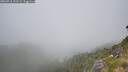 ./images/calvert/foggy-cove/20260716/foggy-cove20260716_133501M.jpg