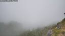 ./images/calvert/foggy-cove/20260716/foggy-cove20260716_134001M.jpg