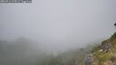 ./images/calvert/foggy-cove/20260716/foggy-cove20260716_135001M.jpg
