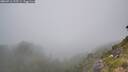 ./images/calvert/foggy-cove/20260716/foggy-cove20260716_135501M.jpg