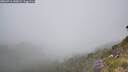 ./images/calvert/foggy-cove/20260716/foggy-cove20260716_140001M.jpg