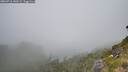 ./images/calvert/foggy-cove/20260716/foggy-cove20260716_140501M.jpg