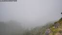 ./images/calvert/foggy-cove/20260716/foggy-cove20260716_141002M.jpg