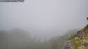 ./images/calvert/foggy-cove/20260716/foggy-cove20260716_141502M.jpg