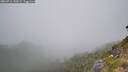 ./images/calvert/foggy-cove/20260716/foggy-cove20260716_142001M.jpg