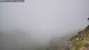 ./images/calvert/foggy-cove/20260716/foggy-cove20260716_142502M.jpg