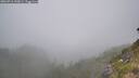 ./images/calvert/foggy-cove/20260716/foggy-cove20260716_143001M.jpg