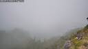 ./images/calvert/foggy-cove/20260716/foggy-cove20260716_143502M.jpg