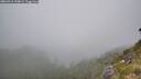 ./images/calvert/foggy-cove/20260716/foggy-cove20260716_144002M.jpg