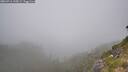 ./images/calvert/foggy-cove/20260716/foggy-cove20260716_145001M.jpg