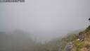 ./images/calvert/foggy-cove/20260716/foggy-cove20260716_145501M.jpg