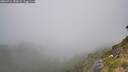 ./images/calvert/foggy-cove/20260716/foggy-cove20260716_150001M.jpg