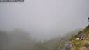 ./images/calvert/foggy-cove/20260716/foggy-cove20260716_150501M.jpg