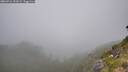 ./images/calvert/foggy-cove/20260716/foggy-cove20260716_151001M.jpg