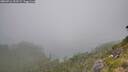 ./images/calvert/foggy-cove/20260716/foggy-cove20260716_152501M.jpg