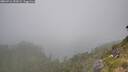 ./images/calvert/foggy-cove/20260716/foggy-cove20260716_153001M.jpg