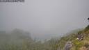 ./images/calvert/foggy-cove/20260716/foggy-cove20260716_153501M.jpg