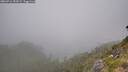 ./images/calvert/foggy-cove/20260716/foggy-cove20260716_155501M.jpg