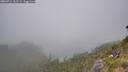 ./images/calvert/foggy-cove/20260716/foggy-cove20260716_162501M.jpg