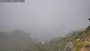 ./images/calvert/foggy-cove/20260716/foggy-cove20260716_163002M.jpg
