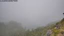 ./images/calvert/foggy-cove/20260716/foggy-cove20260716_163501M.jpg
