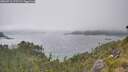 ./images/calvert/foggy-cove/20260716/foggy-cove20260716_171502M.jpg
