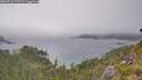 ./images/calvert/foggy-cove/20260716/foggy-cove20260716_173501M.jpg