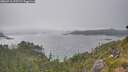 ./images/calvert/foggy-cove/20260716/foggy-cove20260716_175501M.jpg