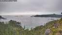 ./images/calvert/foggy-cove/20260716/foggy-cove20260716_184502M.jpg