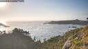 ./images/calvert/foggy-cove/20260716/foggy-cove20260716_195501M.jpg