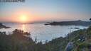 ./images/calvert/foggy-cove/20260716/foggy-cove20260716_212501M.jpg