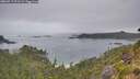 ./images/calvert/foggy-cove/20260717/foggy-cove20260717_071502M.jpg