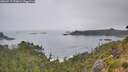 ./images/calvert/foggy-cove/20260717/foggy-cove20260717_072001M.jpg
