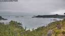 ./images/calvert/foggy-cove/20260717/foggy-cove20260717_074001M.jpg