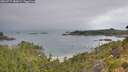 ./images/calvert/foggy-cove/20260717/foggy-cove20260717_082001M.jpg