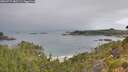 ./images/calvert/foggy-cove/20260717/foggy-cove20260717_082501M.jpg