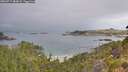 ./images/calvert/foggy-cove/20260717/foggy-cove20260717_083001M.jpg