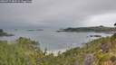 ./images/calvert/foggy-cove/20260717/foggy-cove20260717_083501M.jpg