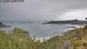 ./images/calvert/foggy-cove/20260717/foggy-cove20260717_084002M.jpg
