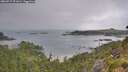 ./images/calvert/foggy-cove/20260717/foggy-cove20260717_091001M.jpg