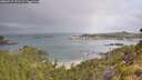 ./images/calvert/foggy-cove/20260717/foggy-cove20260717_091501M.jpg