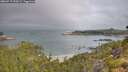 ./images/calvert/foggy-cove/20260717/foggy-cove20260717_092001M.jpg